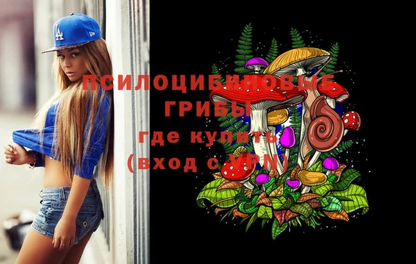 спайс Алексеевка