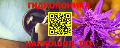 крисы Ковров