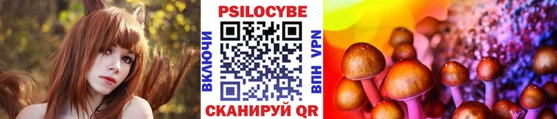 Галлюциногенные грибы Psilocybe  Киржач 